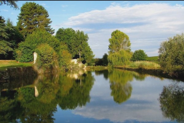 Magnifique château du 12ème siècle avec centre wellness à 20 minutes de Bordeaux